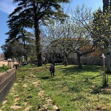 Jasmina Apartment Pula