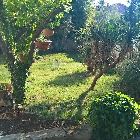 Jasmina Apartman