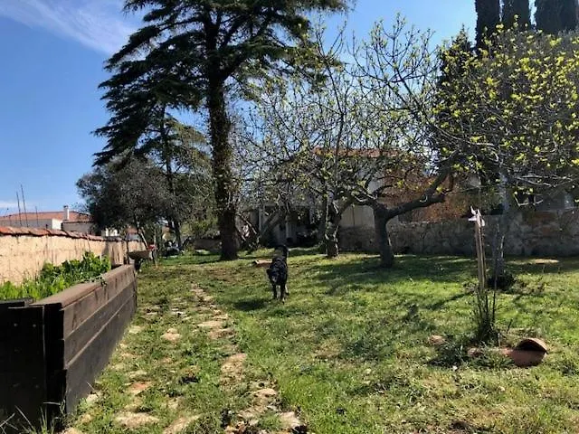 Jasmina Apartamento Pula